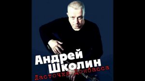 Андрей Школин   Ласточки Донбасса