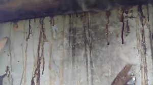 На даче - КАК БОРОТЬСЯ С СОРНЯКАМИ НА ГРЯДКАХ / Грядки без сорняков / Сорняки / Дача / Дачник в плю