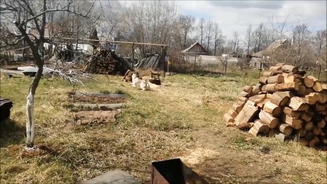 VLOG Йогурт в мультиварке / Огородные дела смотреть онлайн