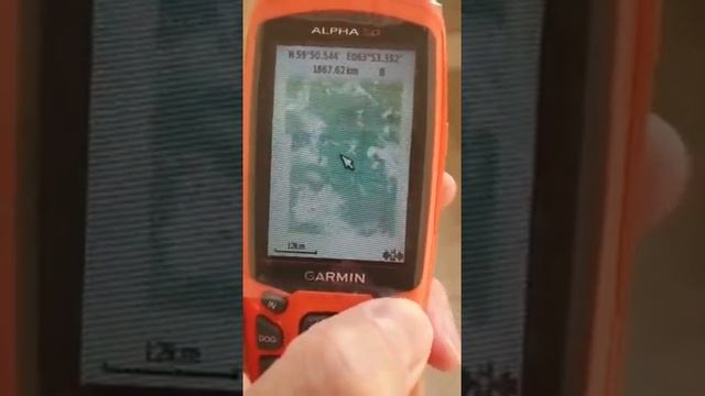 Garmin Alpha 50 Genshtab 250 metrovka