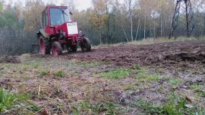 Готовь сани летом, а землю осенью.Осенние хлопоты.Все идет по плану