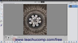 Learn How to Use the Cookie Cutter Tool in Adobe Photoshop Elements 2023: A Training Tutorial