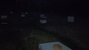 Секрет номер четыре и пять при подготовке на взяток с рапса.