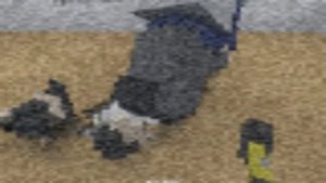 черника форте