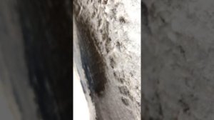 Eberspacher D5WZ работает 1 минуту и выключается