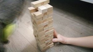 ЧЕЛЕНДЖ ДЖЕНГА ДЛЯ ПЛЮШЕВОГО КОТА БАСИКА