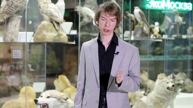 ПРОИСХОЖДЕНИЕ И ОДОМАШНИВАНИЕ СОБАКИ. Ярослав Попов | Палеонтологические истории #012