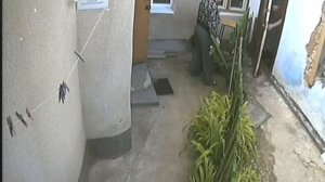 Лягина, 67. Спор между соседями. Камера видеонаблюдения.