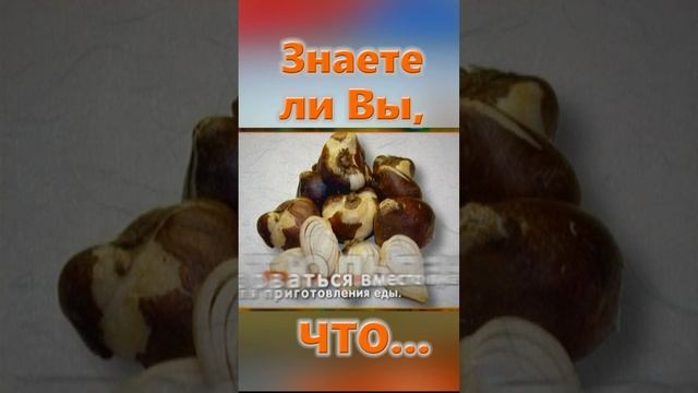 Знаете ли Вы, Что? Орхидея и тюльпаны