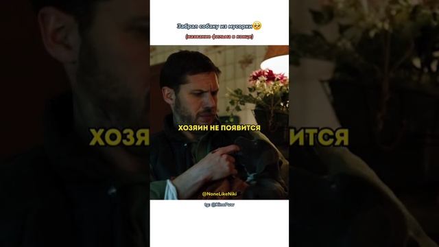 Забрал собаку из мусорки? #NoneLikeNiki #кино #фильмы #чтопосмотреть #кинонавечер #лучшее #рек