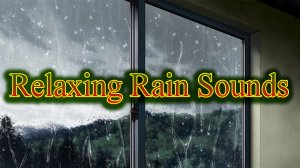 Heavy rain sounds in misty forest 1 hour Relaxing Rain Sounds For Sleep