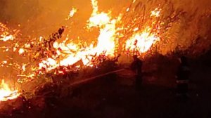 В России действуют более полусотни очагов природных пожаров