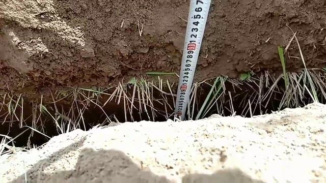 Самоходный траншеекопатель(1)