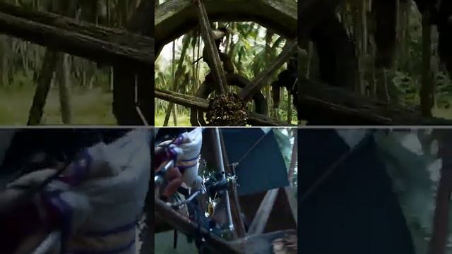 filming the kraken and wheel fight for pirates of the Caribbean behind the scene #bilochpuratips