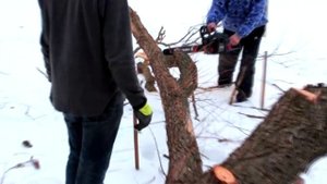 Бензопила Yamamoto CS 4552 Обзор