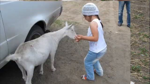 Лукино смотреть онлайн