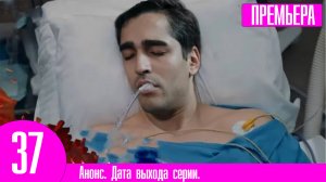 Зимородок 37 серия | Улетели вместе! Подскаст новостей #3