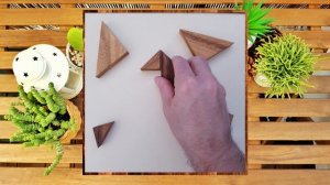 First video! The Swan - Tangram Challenge puzzles for family and friends!