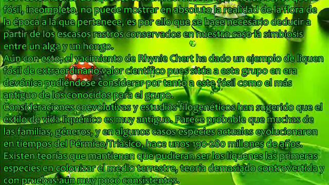 Simbiosis: Liquen смотреть онлайн