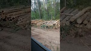 скания 6*6 G500 лесовоз погрузка