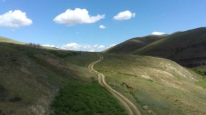 Туба и Красноярское водохранилище 2  14.06.2023