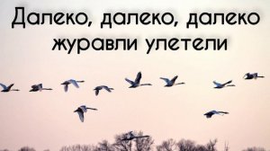 Далеко далеко далеко журавли улетели Христианская песня