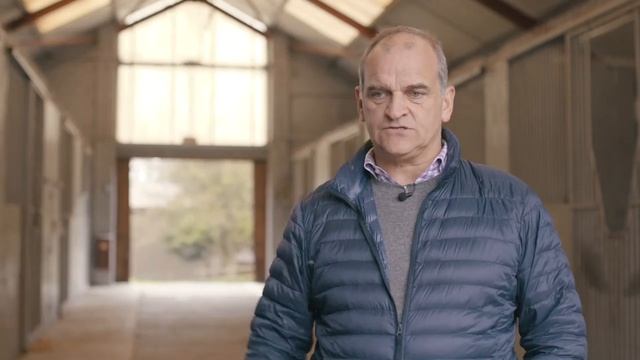 CAT Phone UK The Horse Trainer 60s смотреть онлайн