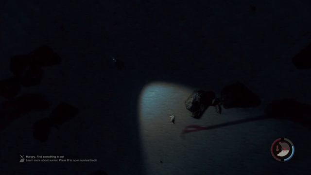 The Forest In a Nutshell