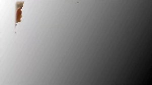 Легенды Инвалидной улицы