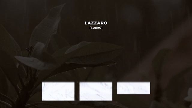 Керамическая плитка. Коллекция Lazzaro. смотреть онлайн