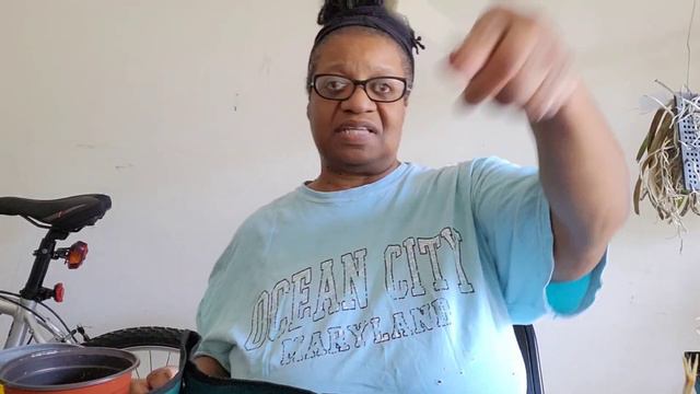 Update on My Alocasia Cyrtosperma Johnstonii, Anthurium Hybrids, and Philodendron Spiritus Sancti! смотреть онлайн