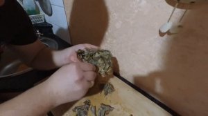 Краб. Как есть краба. Краб волосатик.