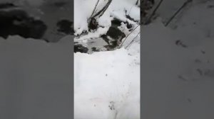 Замор рыбы зимой "Загар" 2021г