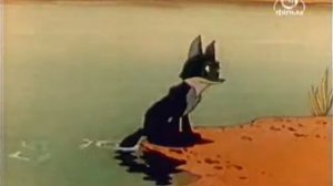 11 Шакаленок и верблюд