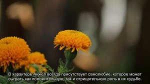 Значение имени Анжелика. Толкование, судьба, характер