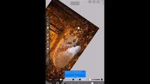 делаю обработку за 15 минут {WildCraft}- обработка вайлд крафт#вилдкрафт #wildcraft #animals
