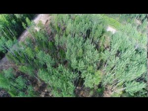 Плитпром_Периодический осмотр 2