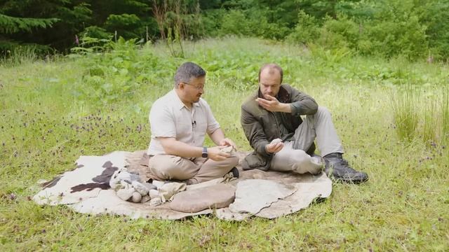 Is It Possible To Decipher Prehistoric Rock Art? смотреть онлайн