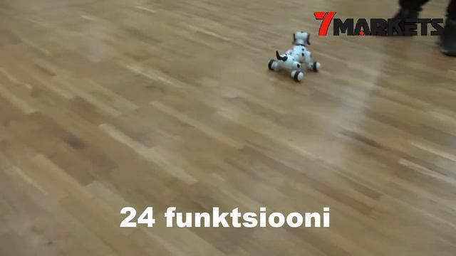 smartdog смотреть онлайн