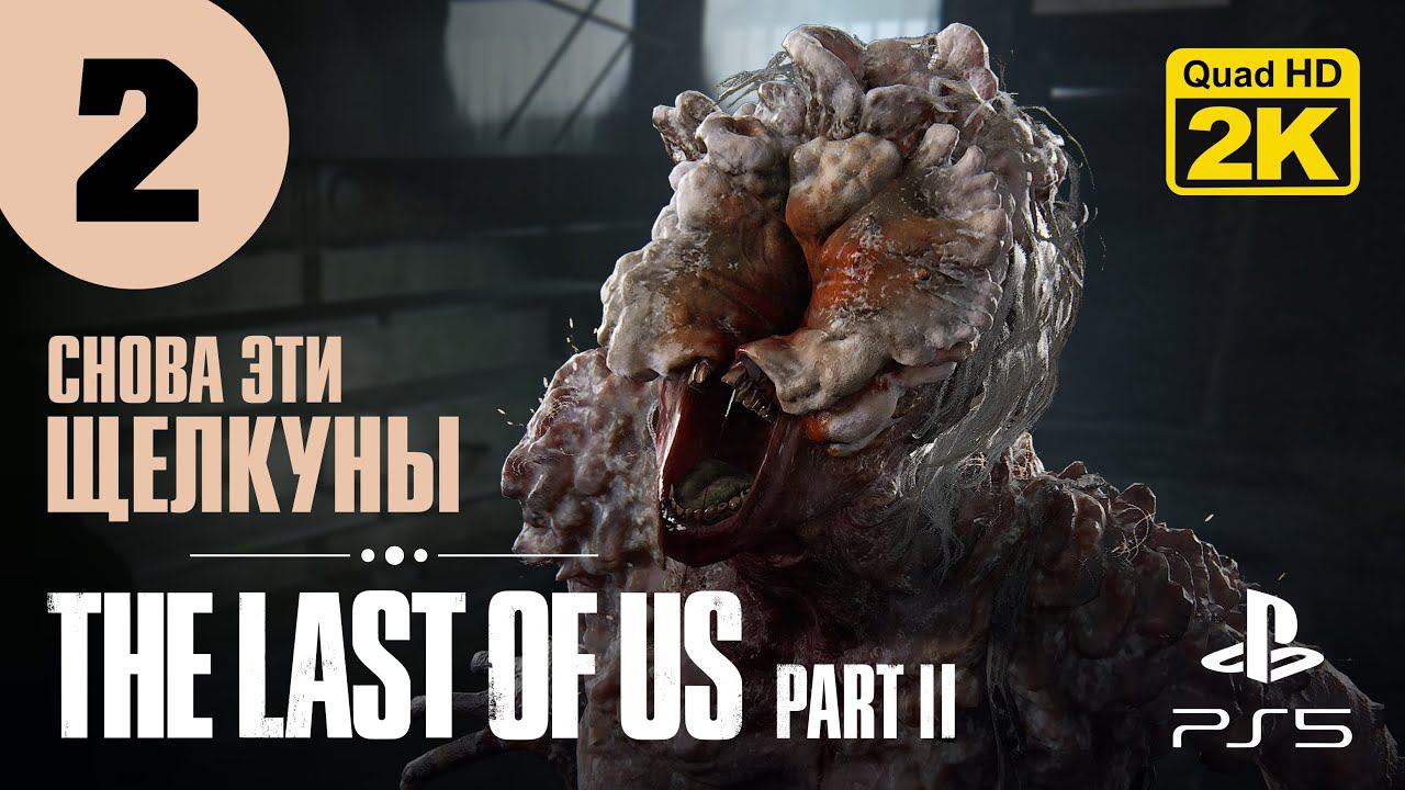 ПЕРВЫЕ СТЫЧКИ ▷ The Last of Us. Part 2 ✦ PS5 [2K 60 fps] - Прохождение #2