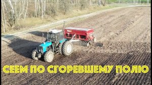 Сеем по сожженному полю