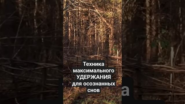 Техника для осознанных снов - КОПЬЁ / ПОСОХ  #осознанныесновидения #выходизтела #астрал #фаза