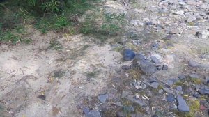 Ловля хариуса в августе на поплавок в дебрях Якутии