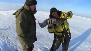 Зимняя рыбалка на Онеге