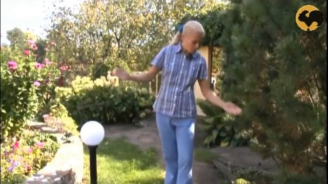 Уличное и ландшафтное освещение дачного загородного участка смотреть онлайн