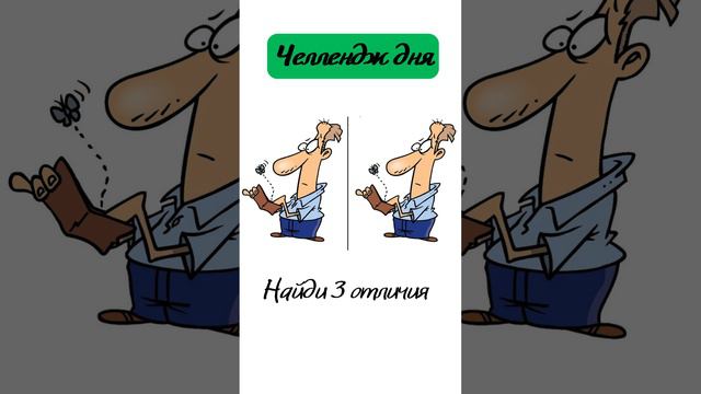 Найди отличия 31