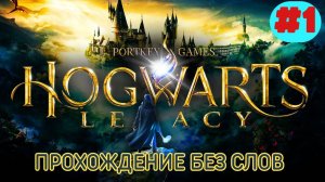 Hogwarts Legacy прохождение без слов игрофильм