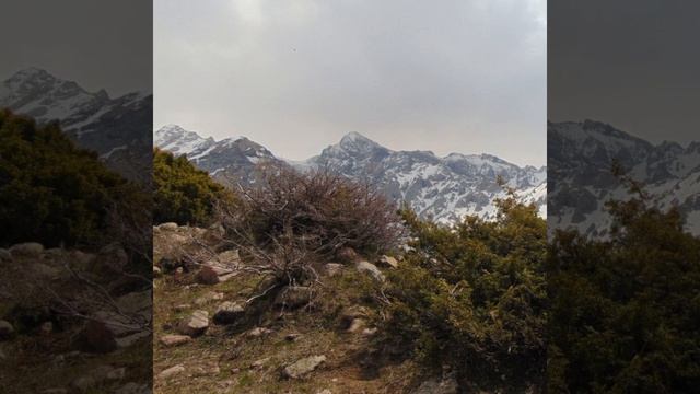 Радуга смотреть онлайн