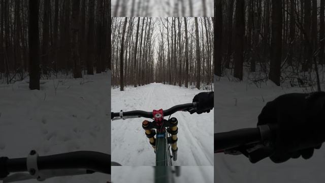 DH Bike Old! засыпало снегом. #freeride