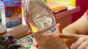 Чем УДОБРИТЬ фиалку ВЕСНОЙ для ПЫШНОГО ЦВЕТЕНИЯ? 2 ПРОВЕРЕННЫХ СПОСОБА?